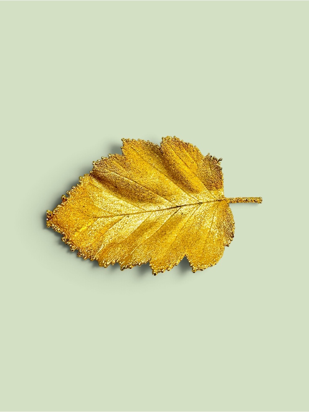 Vintage Large Textured Gold Birch Leaf Brooch